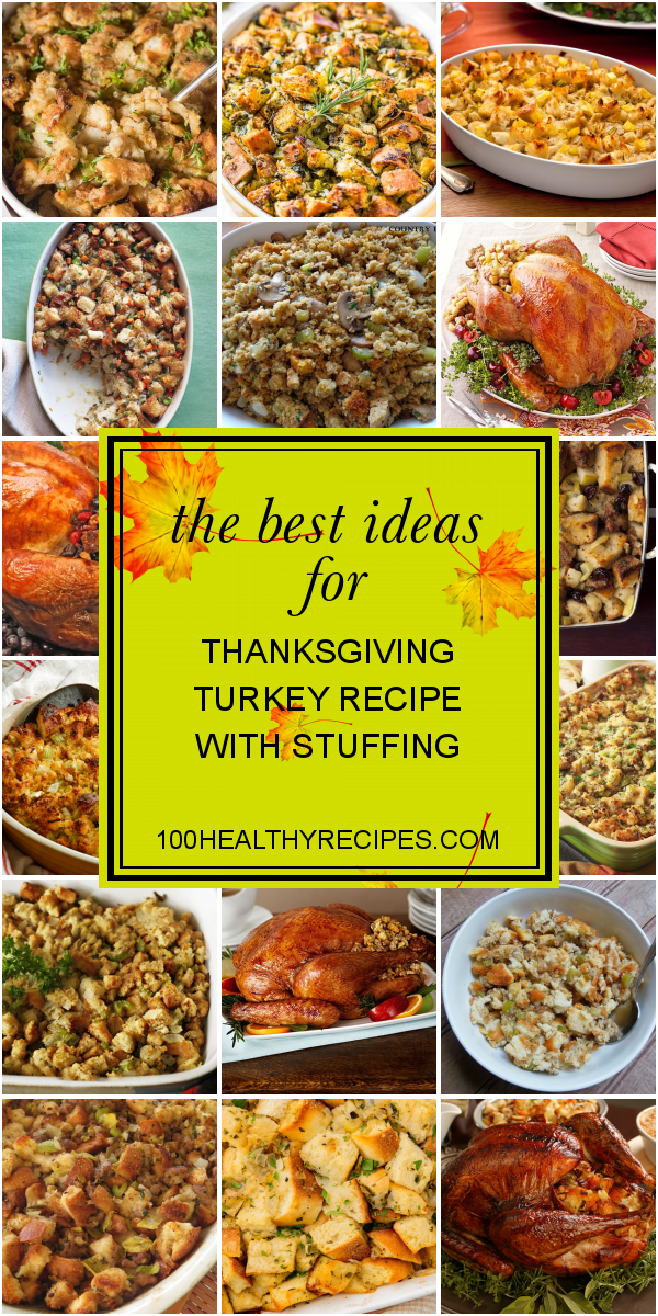 The Best Ideas for Thanksgiving Turkey Recipe with Stuffing Best Diet